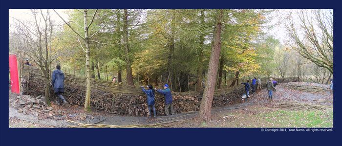 Hedge laying with the Forest of Bradford