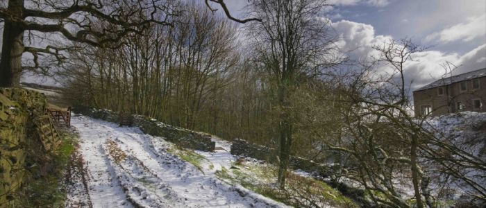 CLICK HERE FOR THE SWARTHA WOOD PROJECT